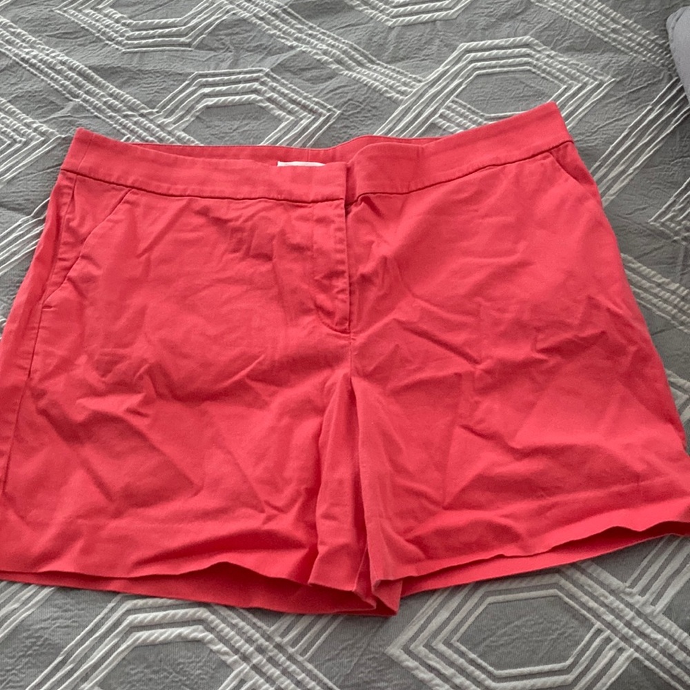 LOFT short pant